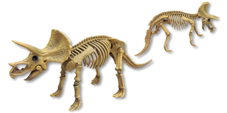 Illustration for article titled Have Your Own Night at the Museum With Fully Posable Dino Skeletons
